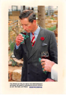 Photo De Presse.MLE10731.30x20 Cm Environ.Prince De Galles.Visite De Kirstenbosch.Afrique Du Sud.Botanique.1997 - Personalidades Famosas