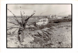 Photo De Presse.MLE10825.30x20 Cm Environ.Algérie.1974.Arzew.Unité De Liquéfaction De Gaz - Otros & Sin Clasificación