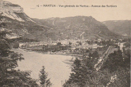 WA 6-(01) NANTUA - VUE GENERALE DE NANTUA - AVENUE DES SORBIERS  - 2 SCANS - Nantua