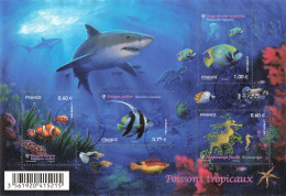 FRANCE 2012 BLOC OBLITERE POISSONS TROPICAUX - F 4646 - Used