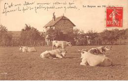 A Identifier - N°82190 - Agriculture - Le Repos Au Pâturage - Vaches Dans Un Pré - Da Identificare
