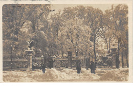 Suisse - N°65413 - GENEVE Sous La Neige - Carte Photo - Genève