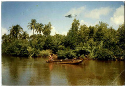 Beruwela Lagoon - Sri Lanka (Ceilán)