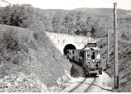 SUISSE - SAN58794 - Train Spécial à La Sortie Du Tunnel De Bassins - Mai 1974 - CPSM 15x10 Cm - Bassins