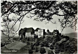 Lenzburg - Schloss - Other & Unclassified
