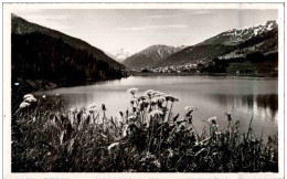 Sommertag Am Davosersee - Davos