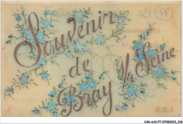 CAR-AAIP7-77-0665 - Souvenir De BRAY SUE SEINE - Carte Celluloid - Bray Sur Seine