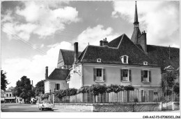 CAR-AAJP3-41-0212 - SELLES-SUR-CHER - L'hôtel De La Ville - Groenland