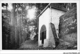 CAR-AAJP10-88-0955 - BRUYERES - Chapelle De La Roche - Bruyeres