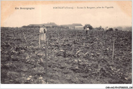 CAR-AAIP9-89-0829 - PONTIGNY - Ferme Du Beugnon, Prise Du Vignoble - Pontigny