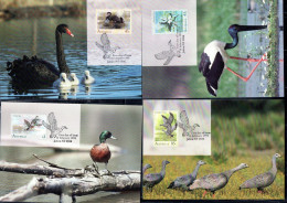 AUSTRALIA 1991 WATER BIRDS FAUNA COMPLETE SET SERIE COMPLETA MAXI CARD MAXIMUM - Cartas Máxima