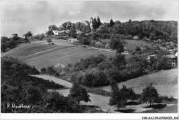 CAR-AAJP9-78-0865 - VAUHALLAN - Abbaye De Saint-Louis Du Temple Et Vestiges De La Tour Du Limon - Other & Unclassified