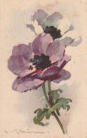 WA 17- CARTE FANTAISIE - FLEURS : ANEMONES , ILLUSTRATEUR KLEIN   - 2 SCANS - Klein, Catharina