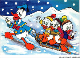 CAR-AAMP4-DISNEY-0399 -  Donald Et Ses Neveux Au Sky - N°1 - Disneyland