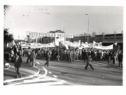 Photo De Presse.AM21047.24x18 Cm Environ.1981.Automobiles Peugeot.Manifestation - Automobili