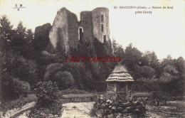 CPA SANCOINS - CHER - RUINES DE JOUY - Sancoins