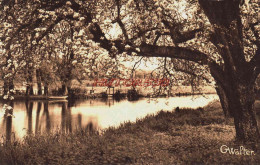 CPA BERNAY - EURE - LES BORDS DE LA CHARENTONNE (G. WALTER) - Bernay