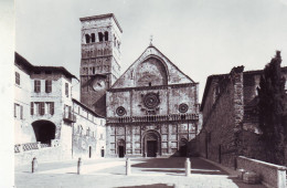 Assisi(perugia) - Chiesa Cattedrale Di S.rufino - Non Viaggiata - Perugia