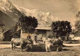 Les Praz , Chamonix Mont Blanc * à L'abreuvoir * Village Villageois - Chamonix-Mont-Blanc