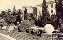 CPSM - HYERES - JARDIN DU PARK HOTEL - Hyeres