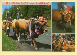 Vaches : Sur Les Monts D'Aubrac / La Transhumance / Multivues (voir Scan Recto/verso) - Kühe