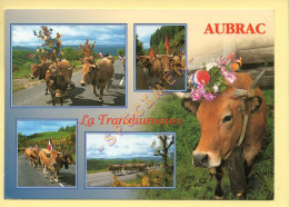 Vaches : La Transhumance Sur Les Monts D'Aubrac / Multivues / Fête (voir Scan Recto/verso) - Koeien