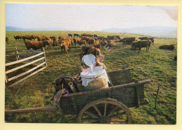 Vaches : La Traite Au Parc / Aux Premières Lueurs De L'aube (voir Scan Recto/verso) - Cows