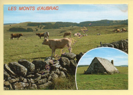 Vaches : Pâturages Sur Les Monts D'Aubrac (voir Scan Recto/verso) - Cows