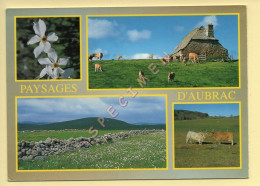 Vaches : Paysages D'Aubrac / Multivues (voir Scan Recto/verso) - Cows