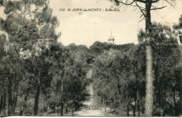 CPA - SAINT-JEAN-DE-MONTS - SOUS-BOIS - Saint Jean De Monts