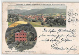39109106 - Lahr, Lithographie. Erste Deutsche Reichswaisenhaus Gelaufen. Leicht Fleckig, Ecken Mit Albumabdruecken, Kle - Lahr