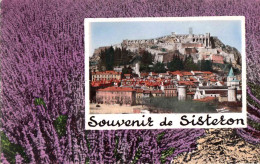 CPSM SISTERON - SOUVENIR … - Sisteron