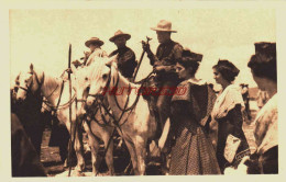 CPA PROVENCE - LES GARDIANS DE CAMARGUE - Provence-Alpes-Côte D'Azur