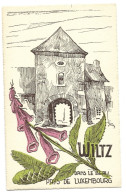 Carte Wiltz   Edition Tony Mander Wiltz - Wiltz