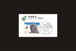 2023 CHINA J-180 13th Conference Of Intl Union For Quatenary Research With Local Views Pmk PEKING MAN - Prehistorics
