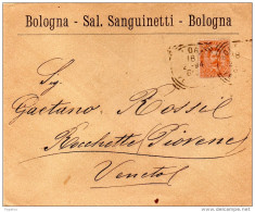 1894  LETTERA INTESTATA   CON ANNULLO BOLOGNA - Storia Postale