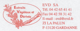 Meter Cut France 2002 Plant Extracts - Alberi