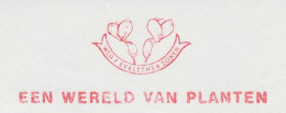 Meter Cut Netherlands 1983 World Of Plants - Autres & Non Classés