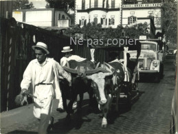 MADERE Vers 1960 Une Rue De FUNCHAL Photo 18 X 24 Cm  Par Photographe BORLANDELLI - Lieux