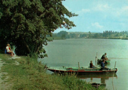 CPM - PÊCHE à La LIGNE - Bords De L'YONNE ... LOT 2 CP à Saisir - Visvangst