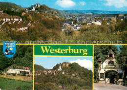 73671713 Westerburg Westerwald Panorama Fliegeraufnahme Schloss Tier Und Maerche - Westerburg