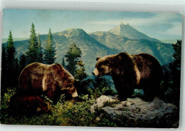 39685706 - American Black Bear - Bears