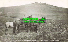 R562625 Bellever Tor Nr. Post Bridge. Dartmoor Ponies. 11778. 1937. RP. Chapman - Monde