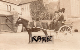 CARTE PHOTO,77,SEINE ET MARNE,MORMANT,FERMIER,ATTELAGE,1906,RARE - Mormant