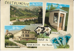 Friuli Venezia Giulia-udine-oseacco Frazione Di Resia Vedute Vedutine Saluti Da Oseacco - Altri & Non Classificati