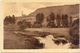 CPA -DOMREMY - VUE SUR LA MEUSE, LA BASILIQUE ET LE BOIS CHENU - Domremy La Pucelle