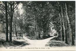 CPA -  SOULAC (ENV.) - LA ROUTE DE LA POINTE DE GRAVE - Soulac-sur-Mer