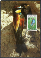 AUSTRIA ÖSTERREICH 1988 WWF BEE EATER 5s CARTE MAXIMUM MAXI CARD - Cartoline Maximum