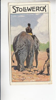 Stollwerck Album No 11 Elefanten Und Schweine Der Afrikanische Elefant Vor Dem Pfluge   Grp 460 #3 Von 1910 - Stollwerck