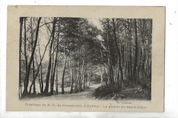 Hyères (83) : La Pinède Du Sacré-Coeur De 'l'Ermitage ND De Consolation En 1910 PF. - Hyeres